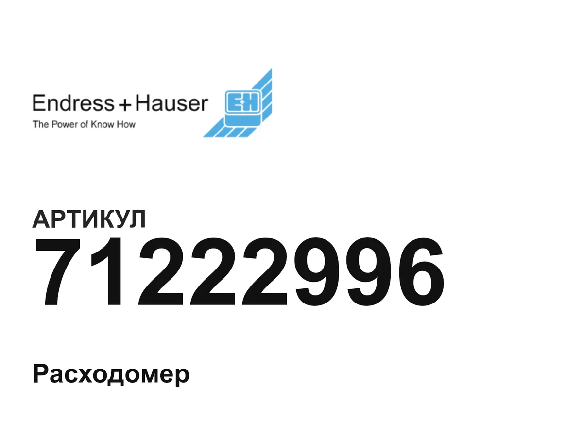 71222996 Endress+Hauser