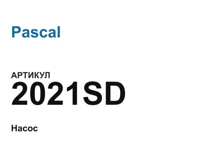 2021SD Pascal