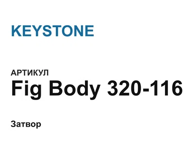 FigBody320116 KEYSTONE