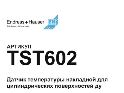 TST602 Endress+Hauser