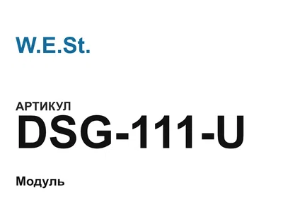 DSG111U W.E.St.