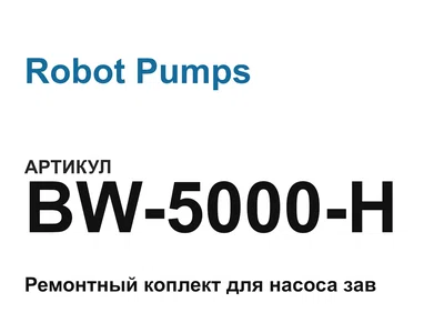BW5000H Robot Pumps
