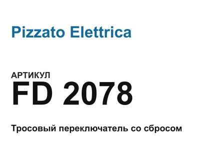 FD2078 Pizzato Elettrica