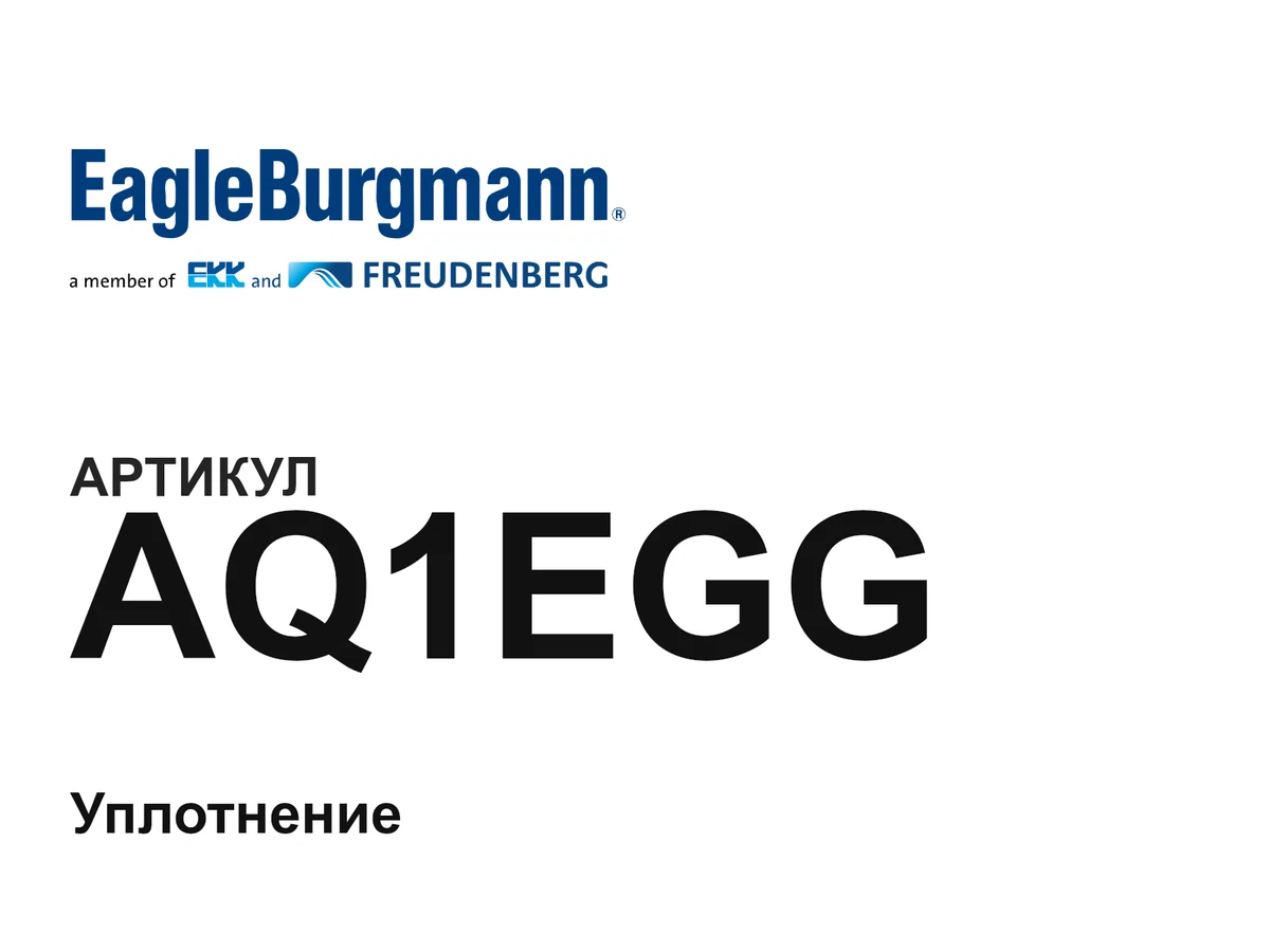 AQ1EGG Eagle Burgmann
