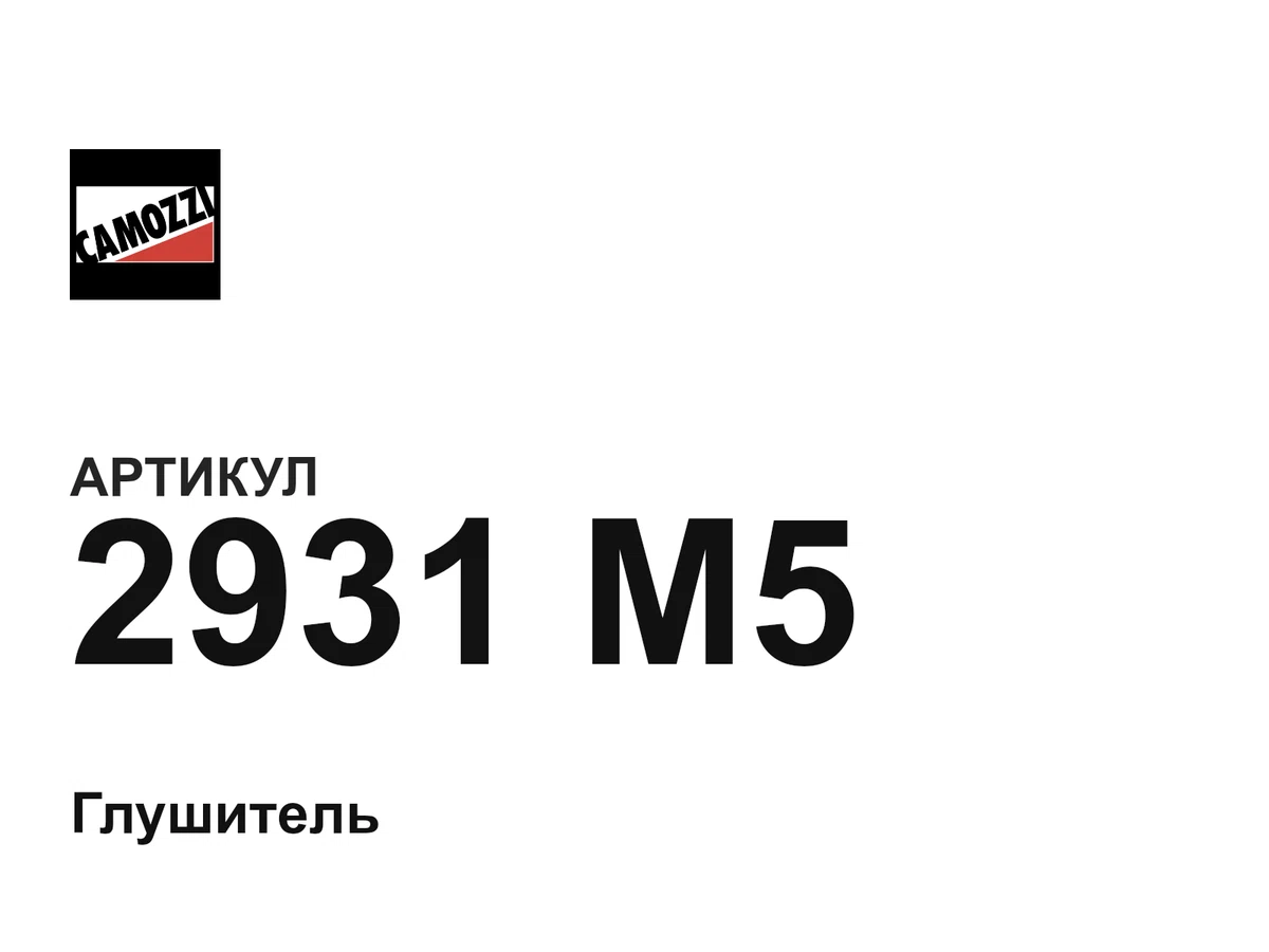 2931M5 Camozzi