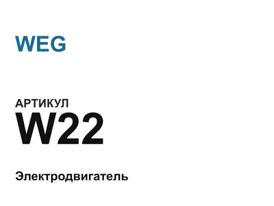 W22 WEG