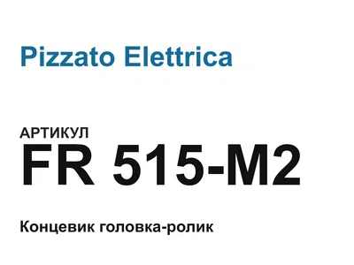 FR515M2 Pizzato Elettrica