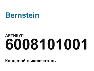 6008101001 Bernstein