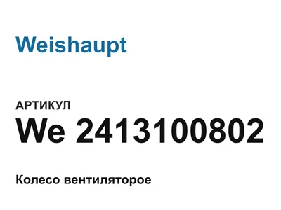 We2413100802 Weishaupt