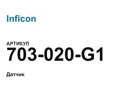 703020G1 Inficon