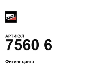 75606 Camozzi