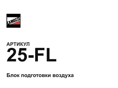 25FL Camozzi