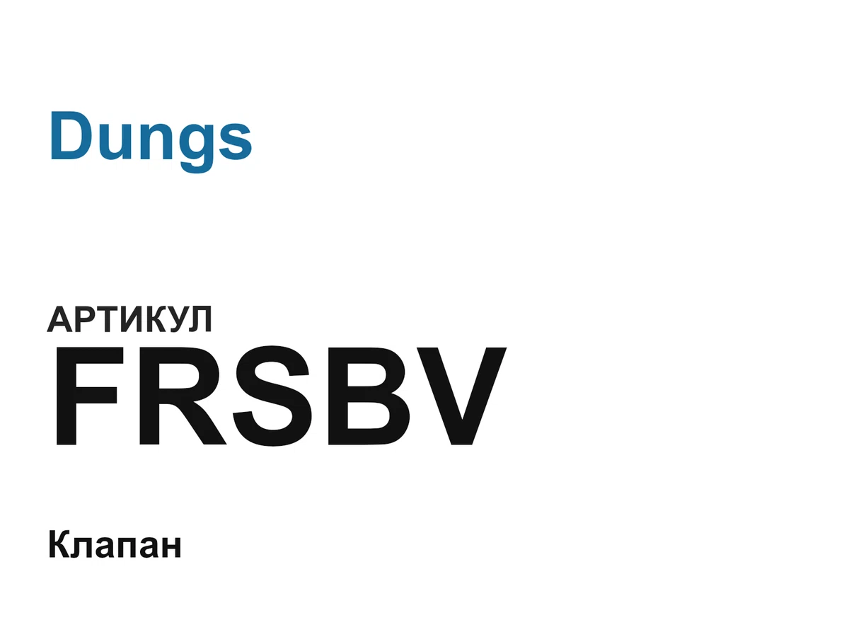 FRSBV Dungs