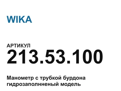 21353100 WIKA