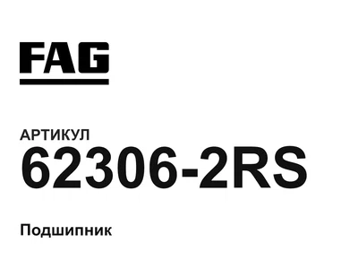 623062RS FAG
