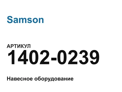 14020239 Samson