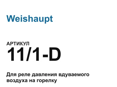 111D Weishaupt