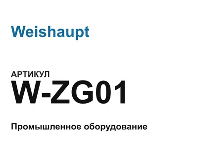 WZG01 Weishaupt