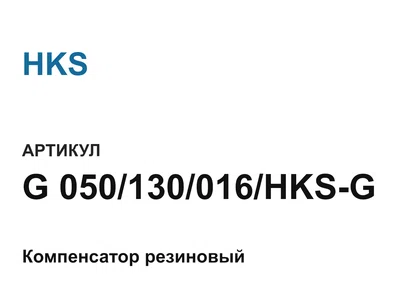 G050130016HKSG HKS