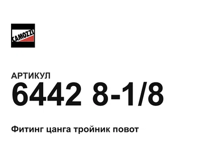6442818 Camozzi
