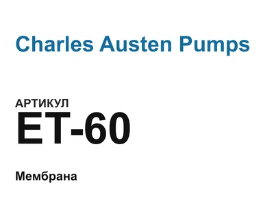 ET60 Charles Austen Pumps