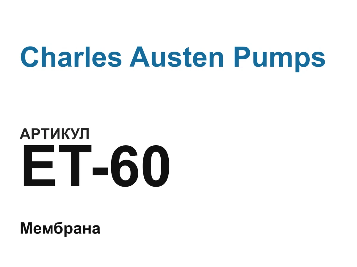 ET60 Charles Austen Pumps