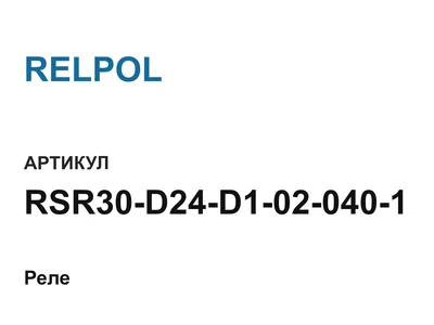 RSR30D24D1020401 RELPOL
