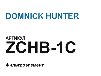 ZCHB1C DOMNICK HUNTER